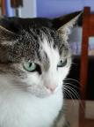 IZ1DNQ (3337 visite) IZ1DNQ