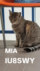 MIA-IU8SWY